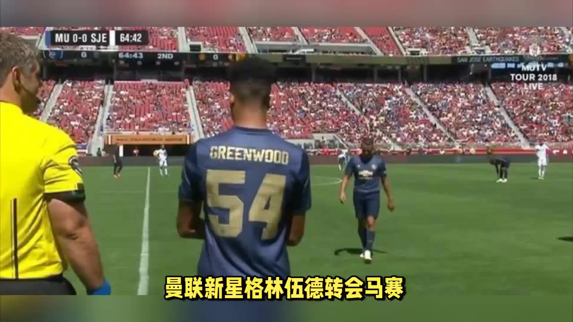 大矮个